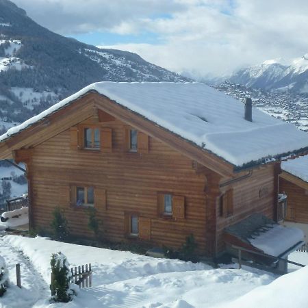 Christoph Standing & Calm Chalet 10 Pers By Alpvision Residences 维松纳 外观 照片