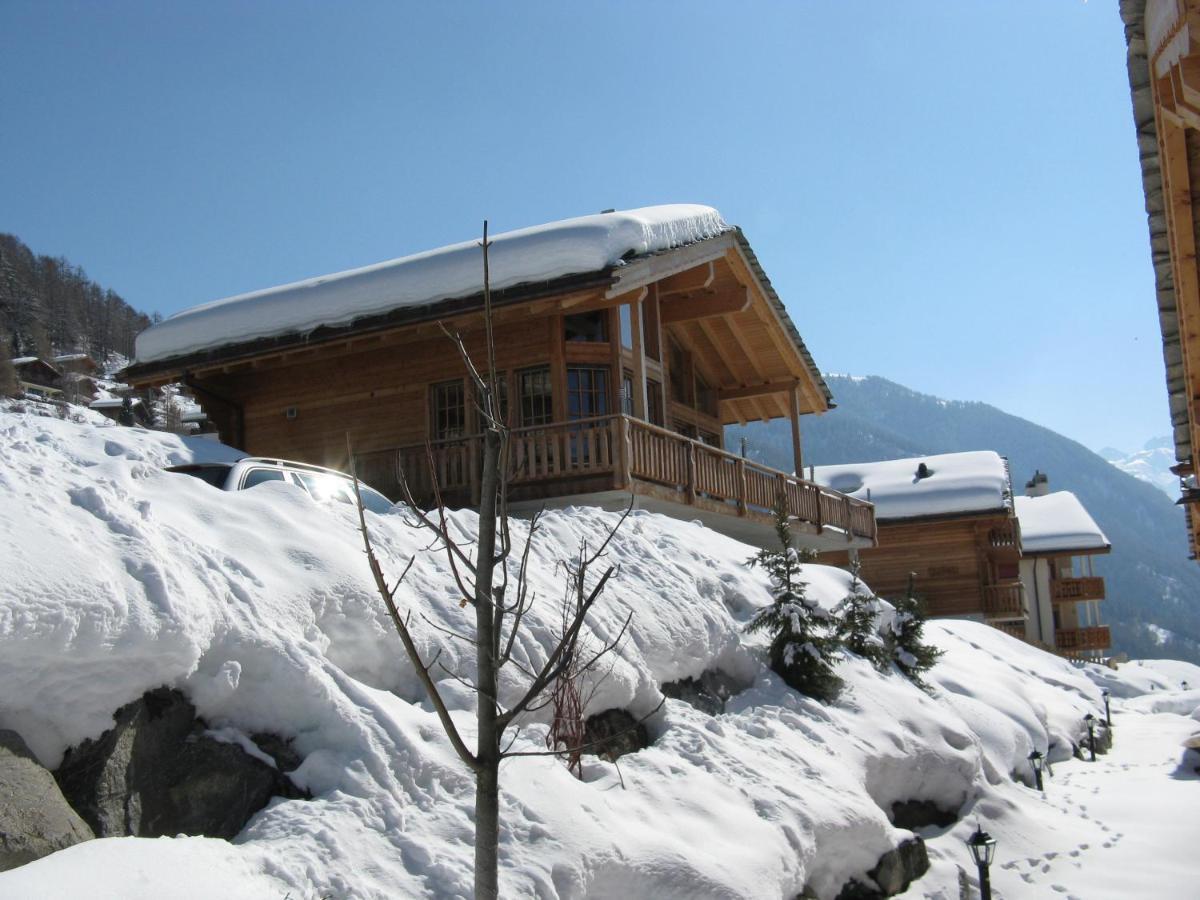 Christoph Standing & Calm Chalet 10 Pers By Alpvision Residences 维松纳 外观 照片